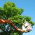 Village of Nagog Woods Tree Services by Clean Slate Landscape & Property Management, LLC